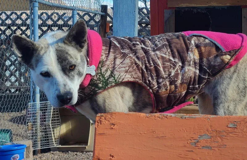 Playa Blanca thumbnail 2