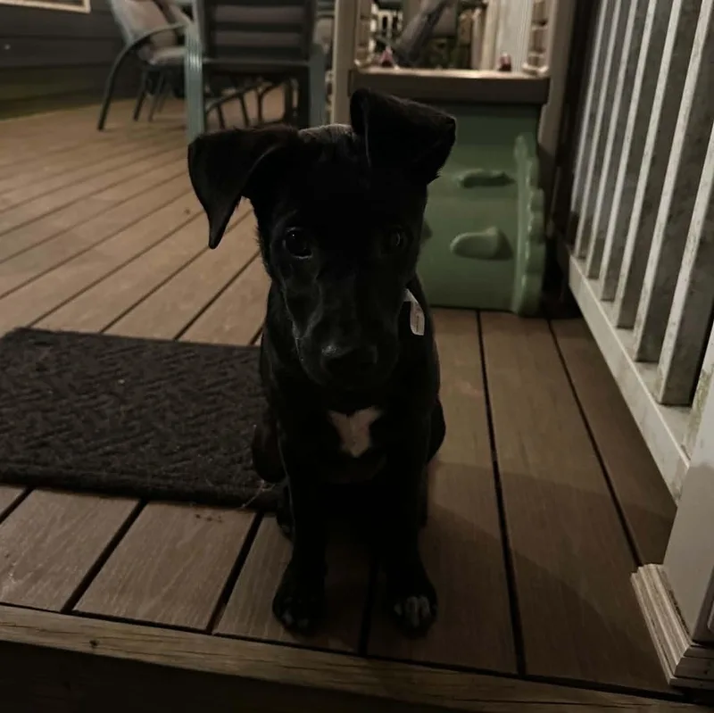 Sally Mae
