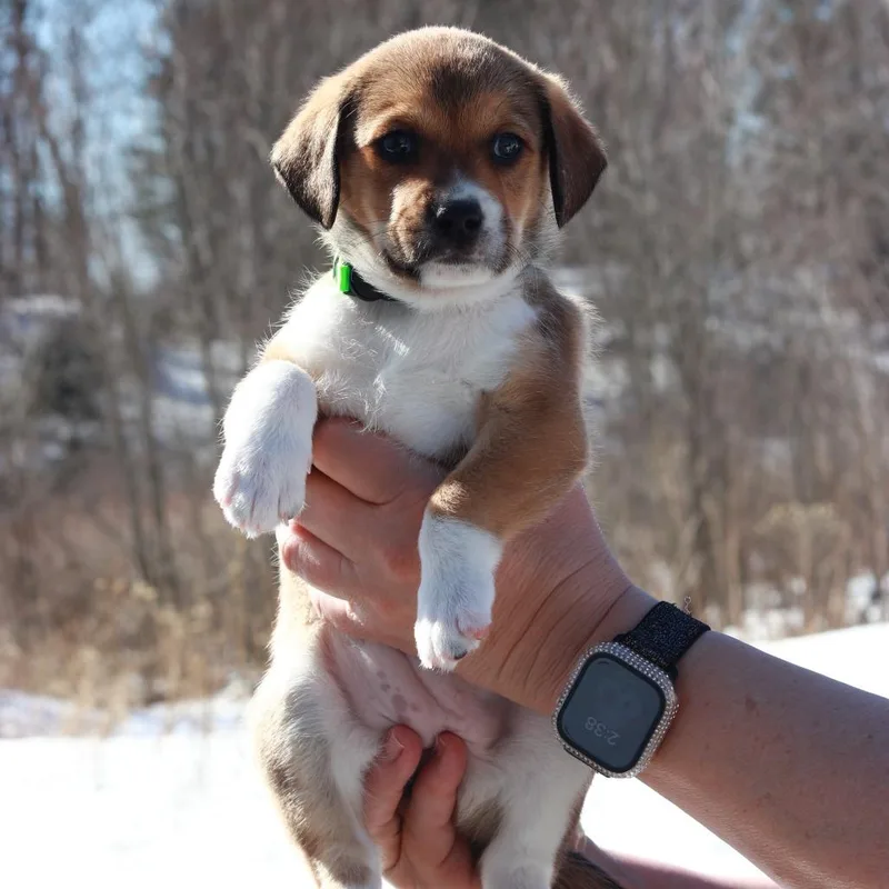 Ct Icy Avail Mar thumbnail 2