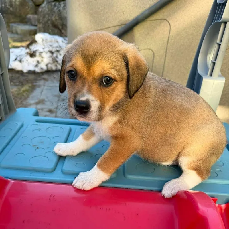 Ct Icy Avail Mar thumbnail 3