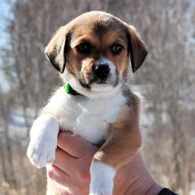 Ct Icy Avail Mar thumbnail 4