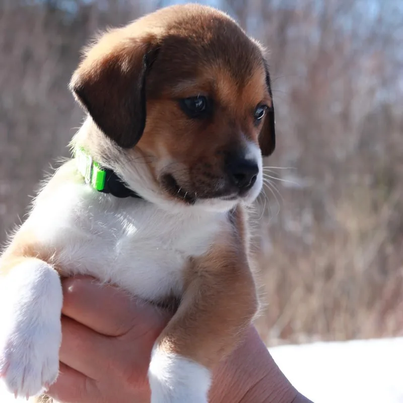 Ct Icy Avail Mar thumbnail 5