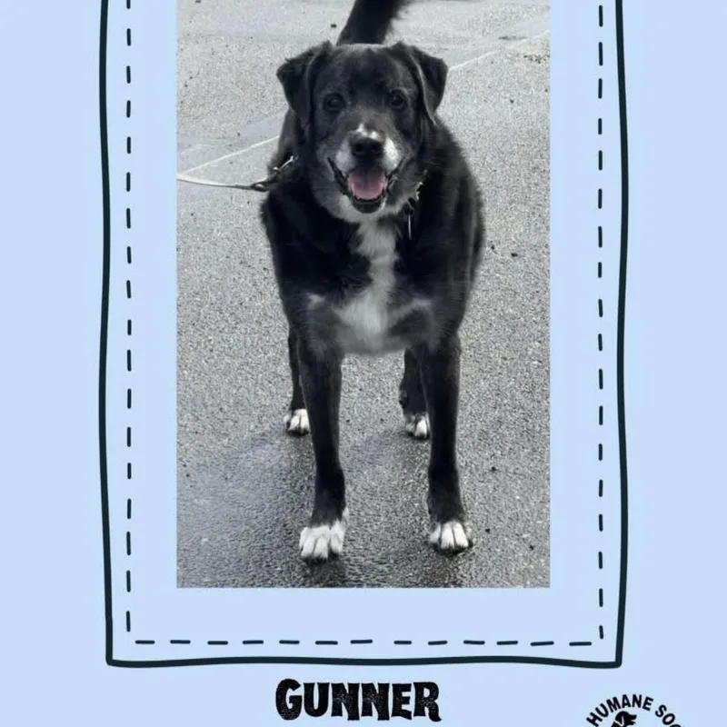 Gunner