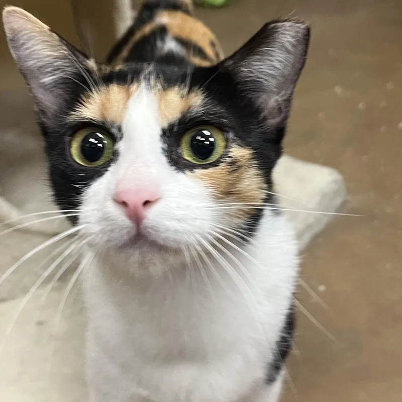 Paradise thumbnail 2