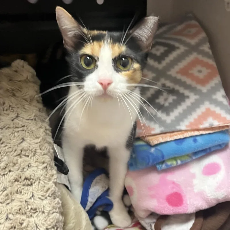 Paradise thumbnail 4