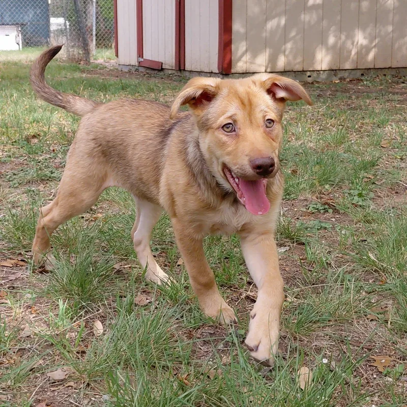 Ginger Ja thumbnail 5