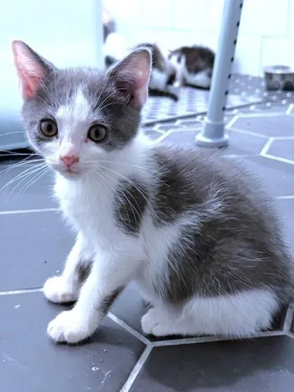 Ella thumbnail 2