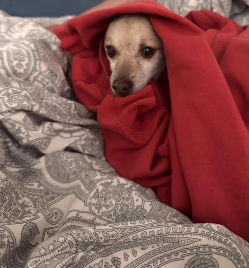 Reginald
