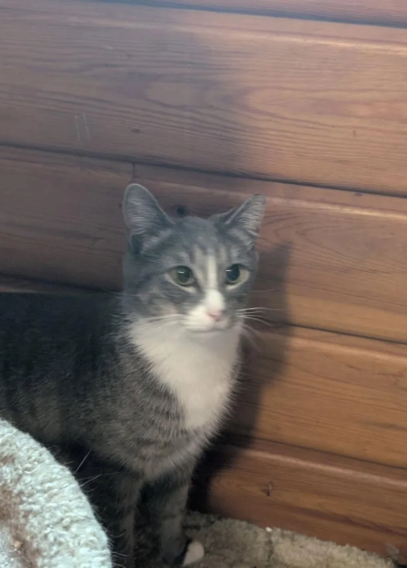 Simon Bonded With Erica