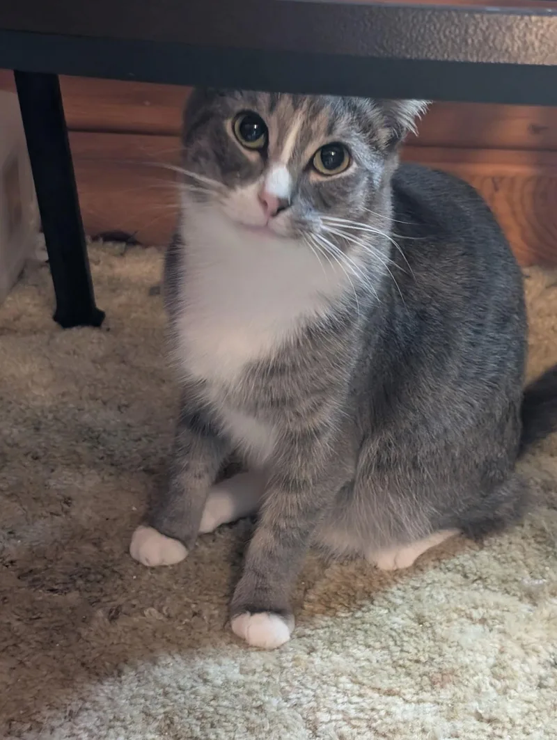 Simon Bonded With Erica thumbnail 3