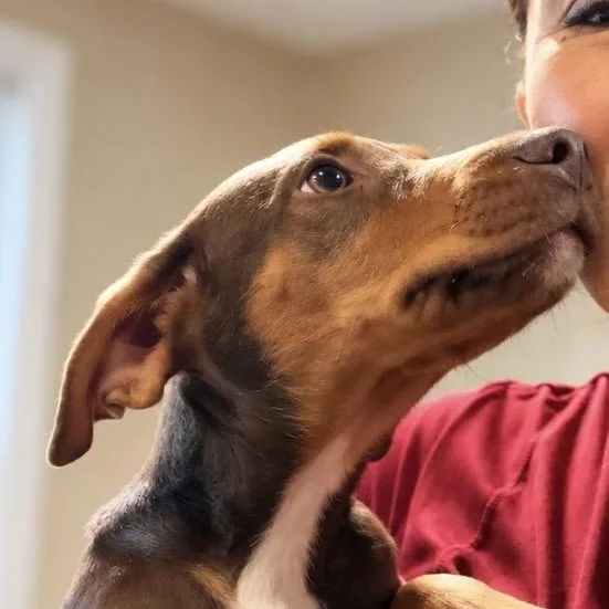 Enzo — The Sweetest thumbnail 4