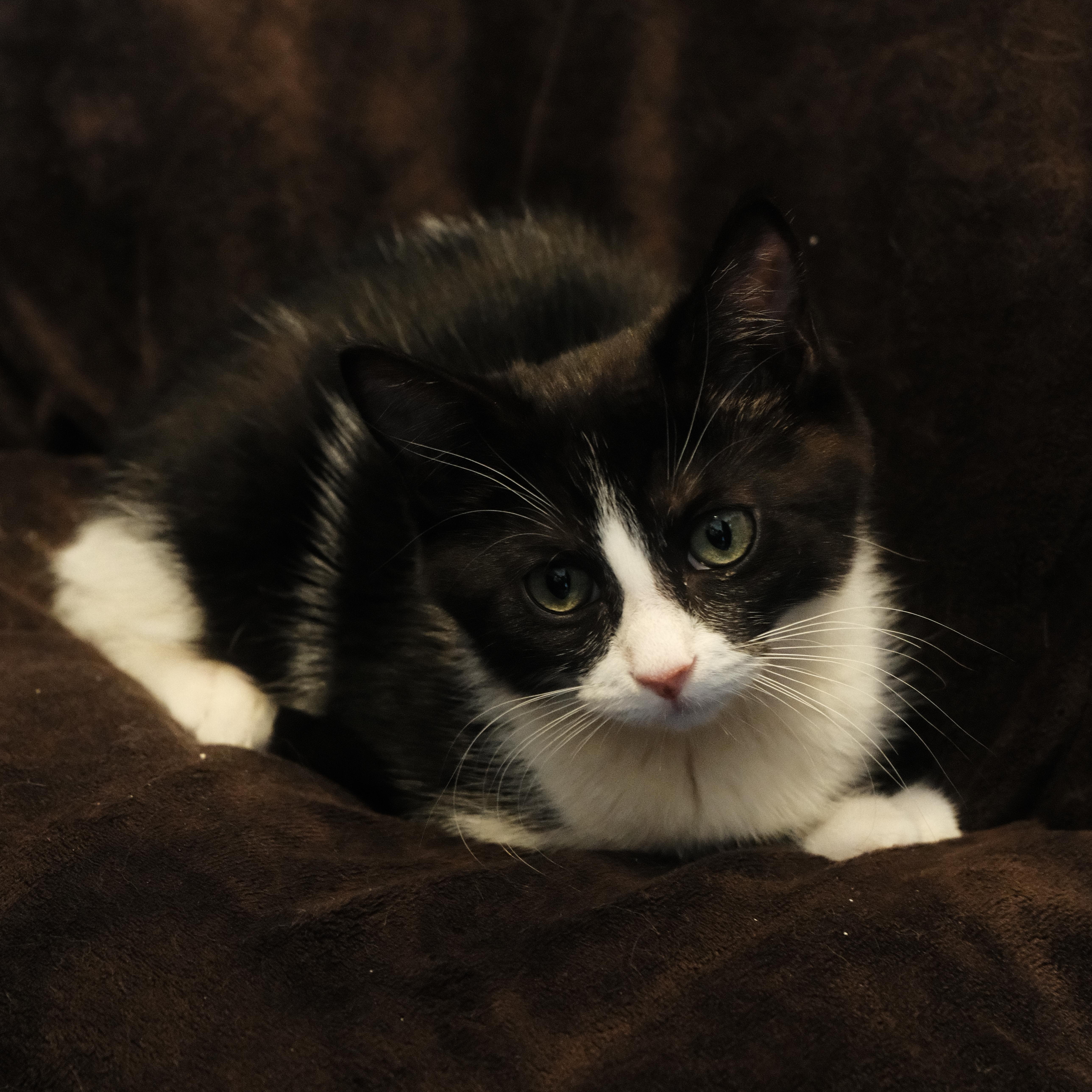 Minnie thumbnail 3