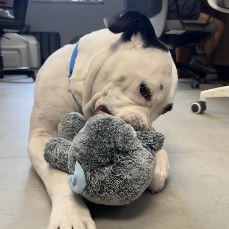 Kintsugi thumbnail 2