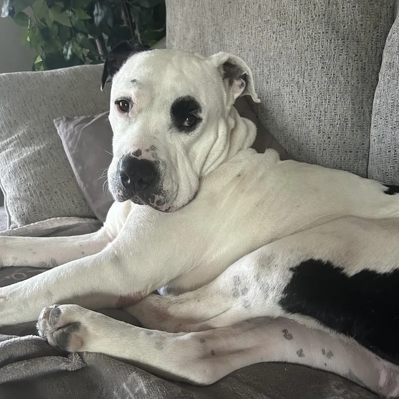 Kintsugi thumbnail 3