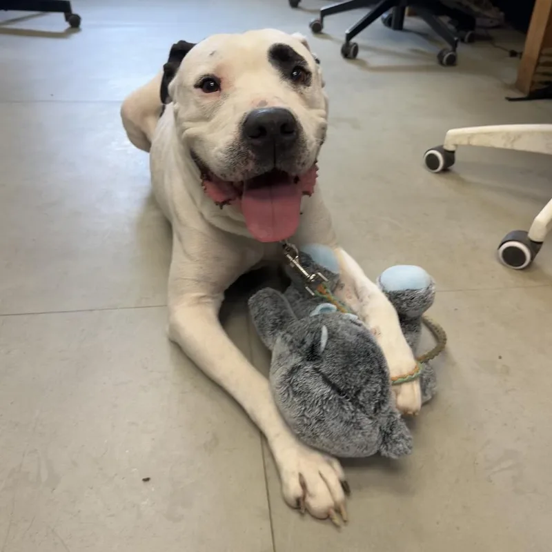 Kintsugi thumbnail 4