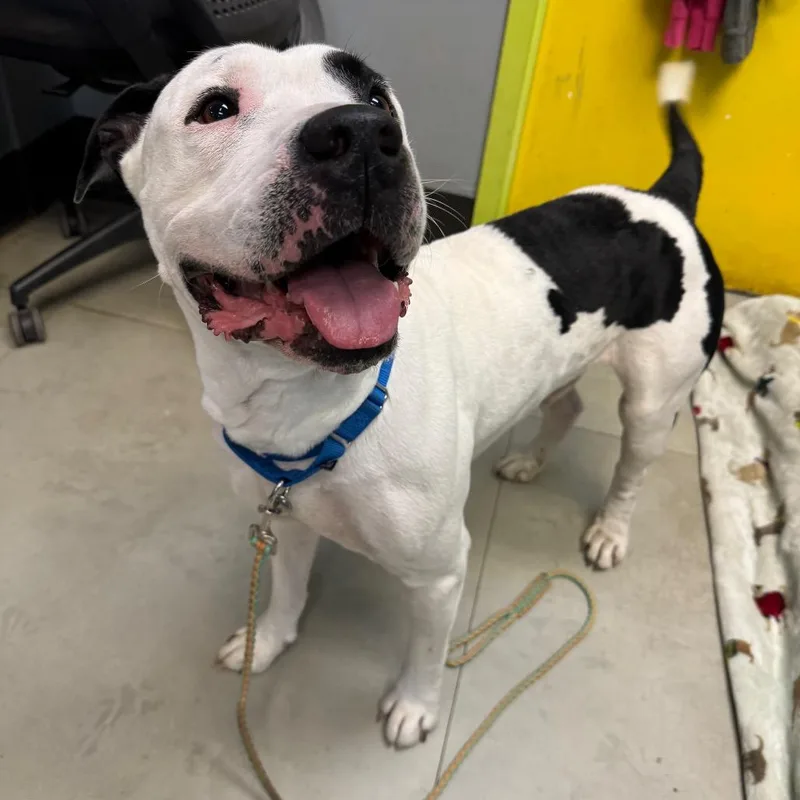 Kintsugi thumbnail 6