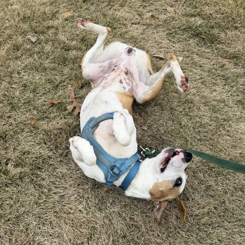 Felicity thumbnail 2