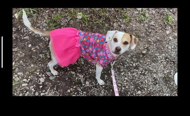 Bella thumbnail 2