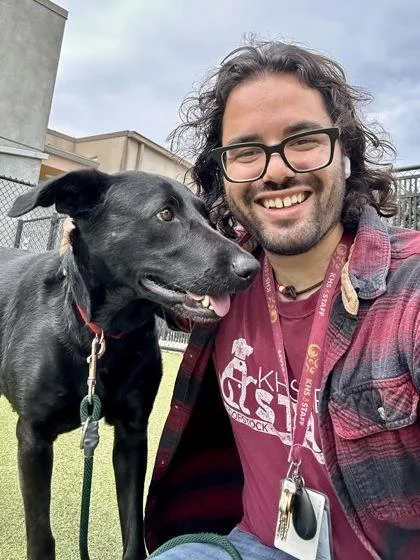 An adult large-sized female Black Mixed Breed dog named Hazel for adoption in Wichita, KS