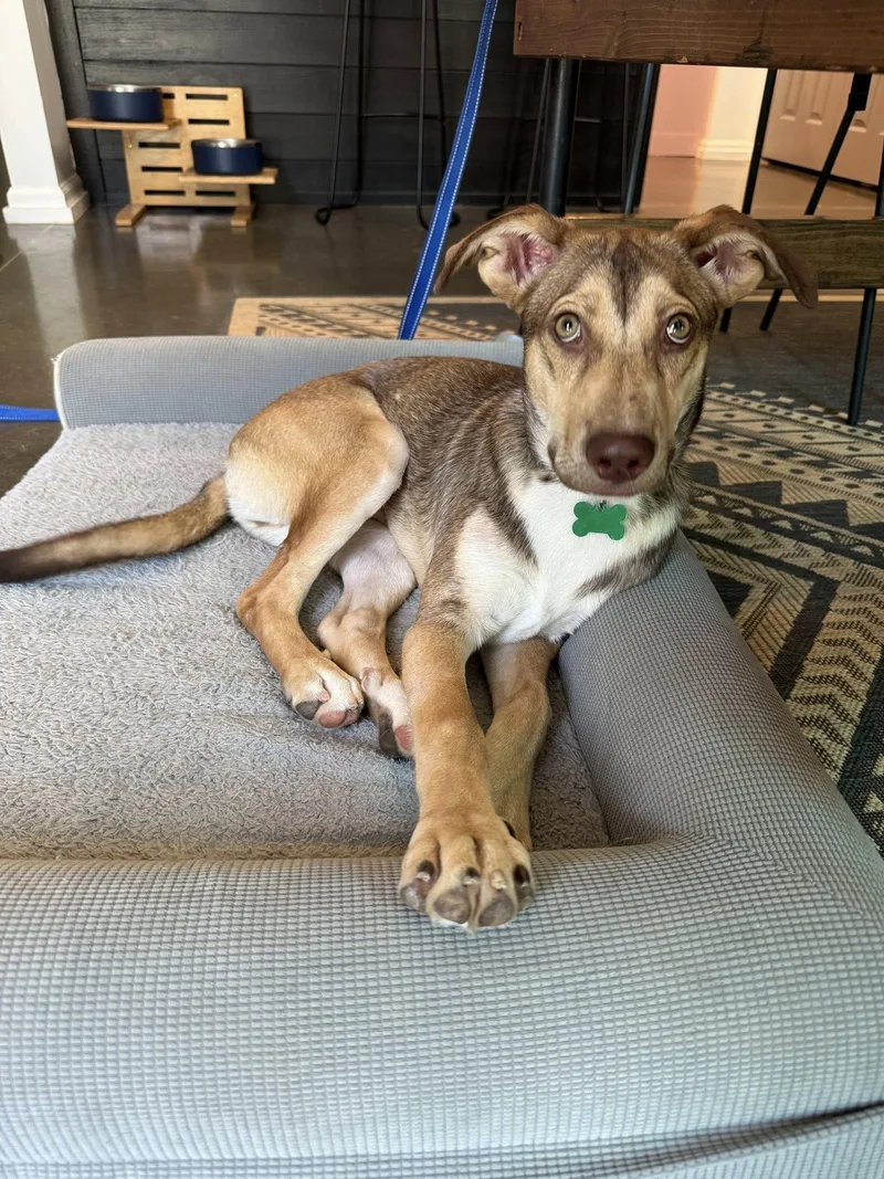 Kelvin Gemstone thumbnail 2