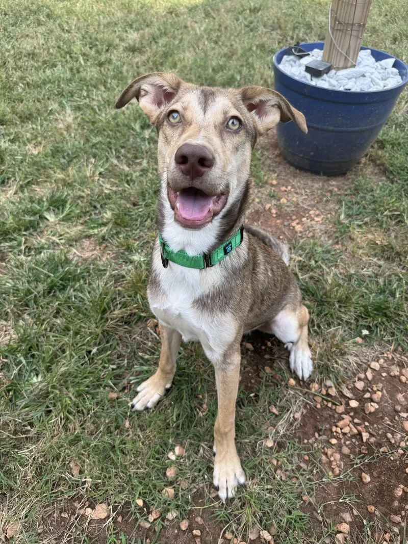 Kelvin Gemstone thumbnail 3