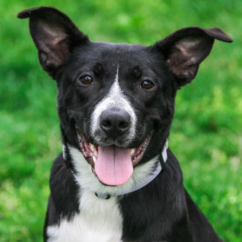 Inge thumbnail 2
