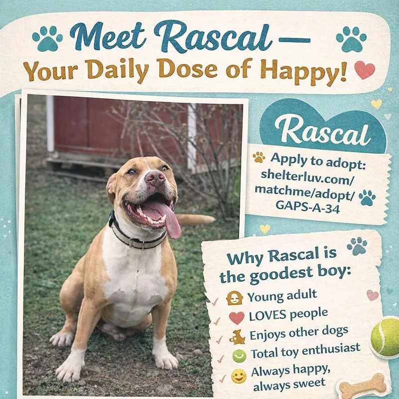 Rascal thumbnail 3