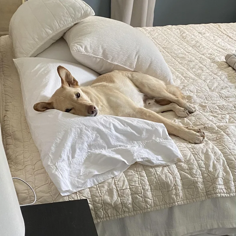 Sonny Urgent thumbnail 3