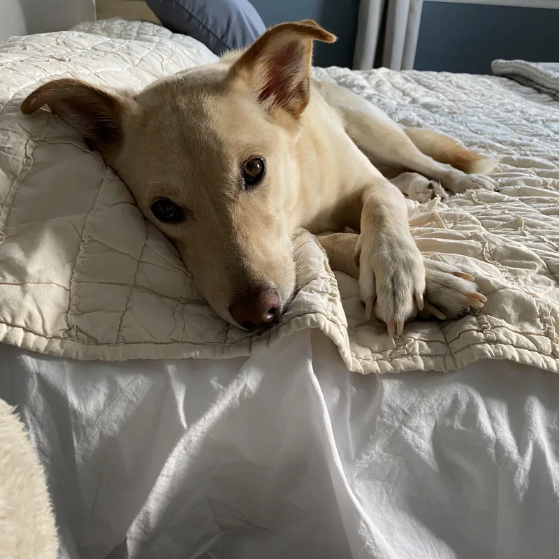 Sonny Urgent thumbnail 5