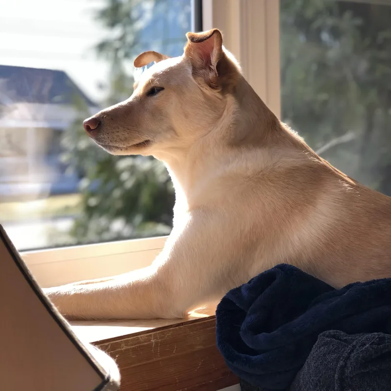 Sonny Urgent thumbnail 6