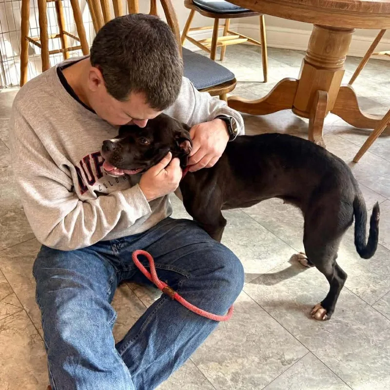 Bobby Fc thumbnail 5