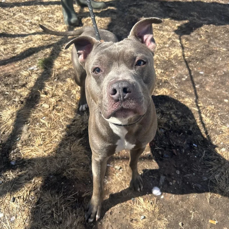 Raffaele thumbnail 3