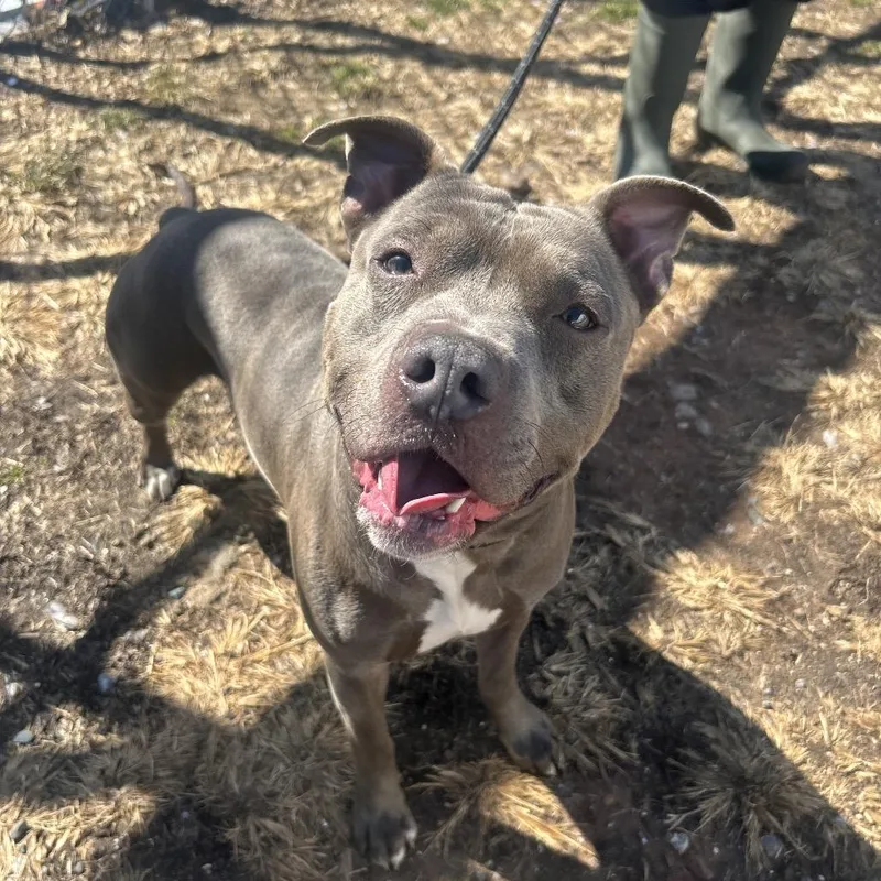 Raffaele thumbnail 4