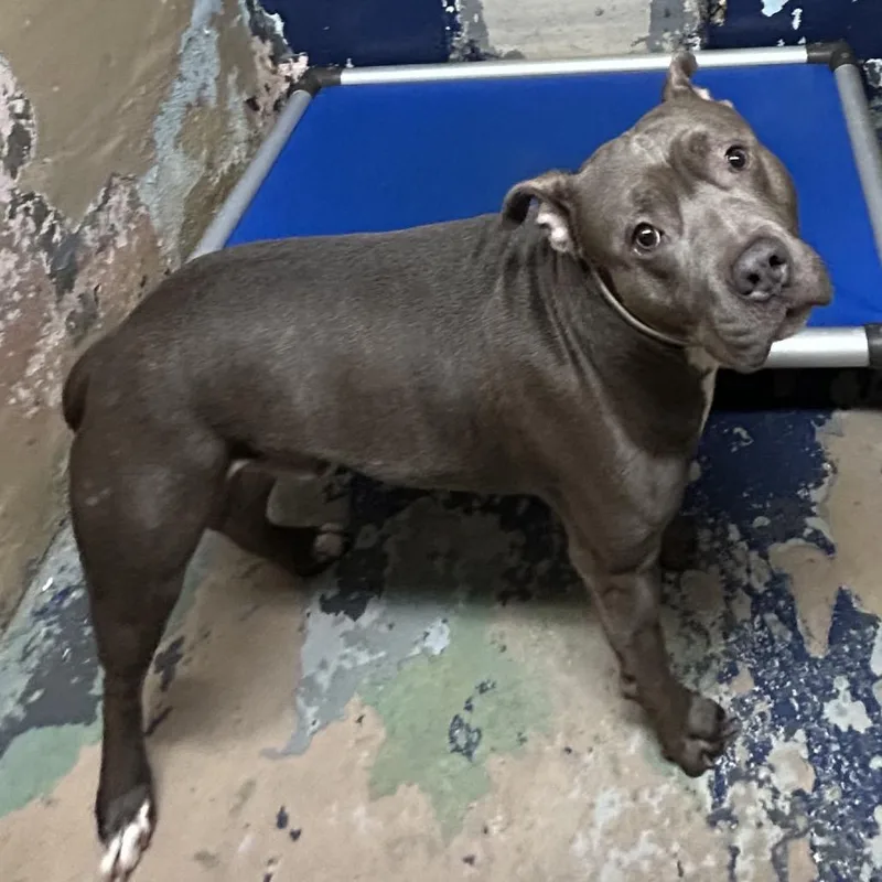 Raffaele thumbnail 5