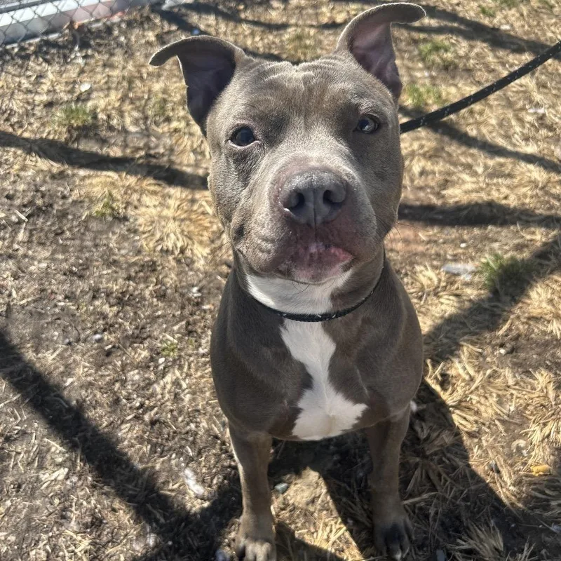 Raffaele thumbnail 6