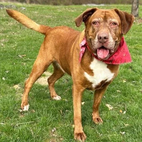 Hershey thumbnail 3