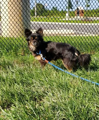 Baby Bella thumbnail 2
