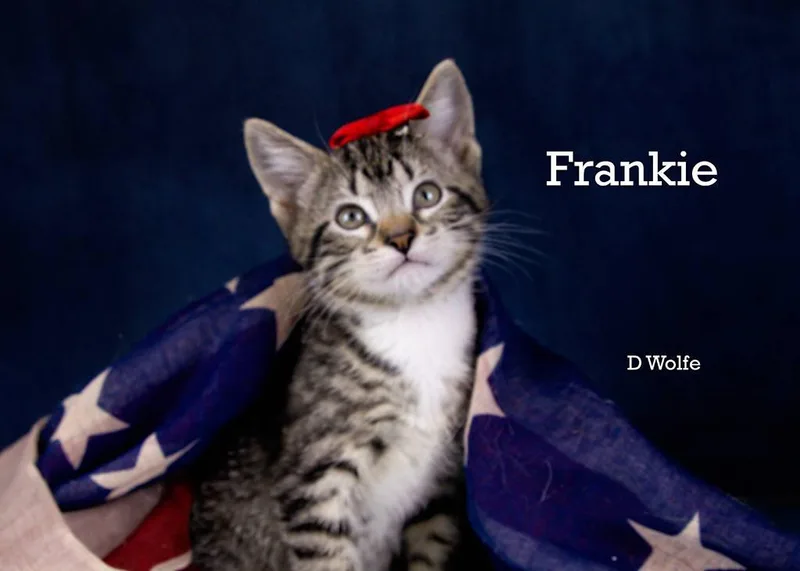 Frankie thumbnail 3