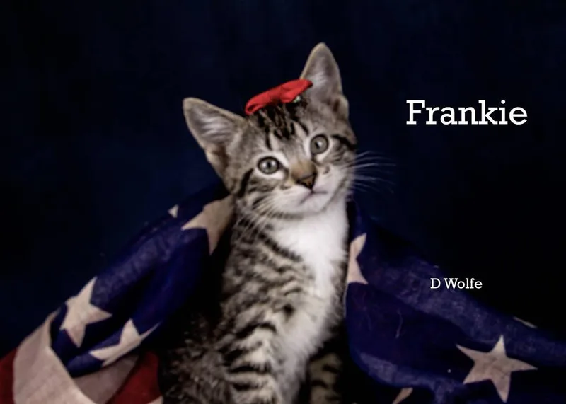 Frankie thumbnail 4