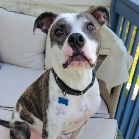 Thurgood thumbnail 2