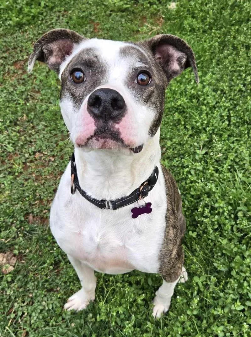 Thurgood thumbnail 3