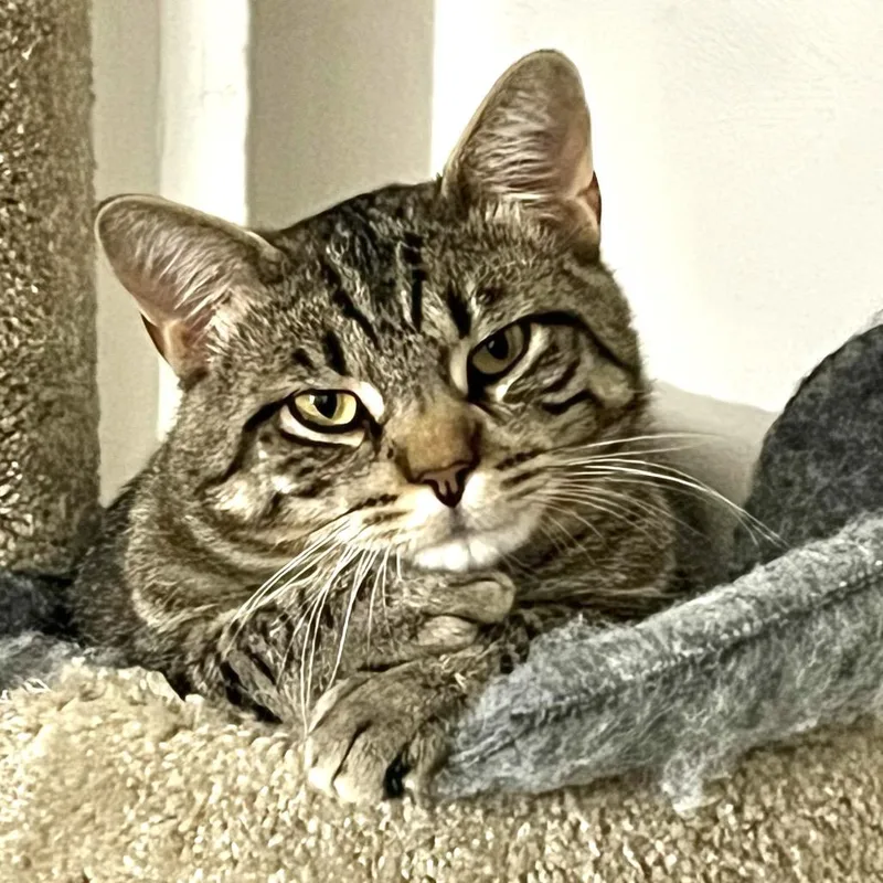 Sebastian