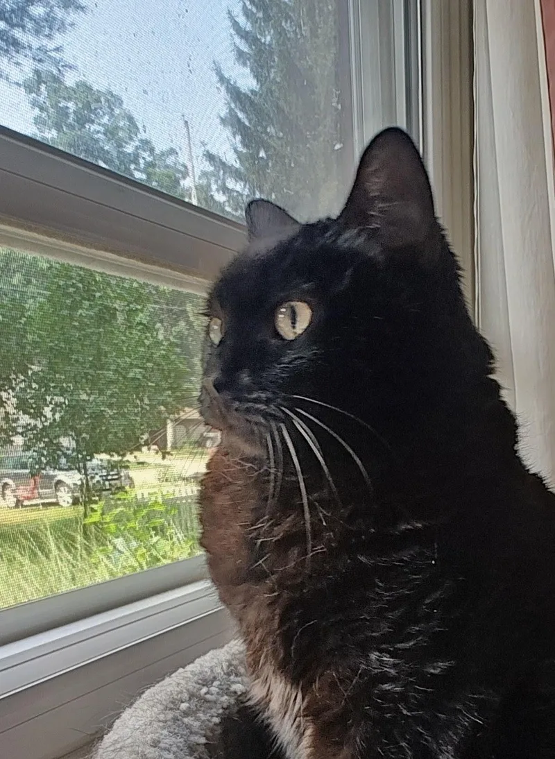 Sabrina thumbnail 3