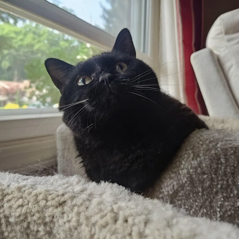 Sabrina thumbnail 6