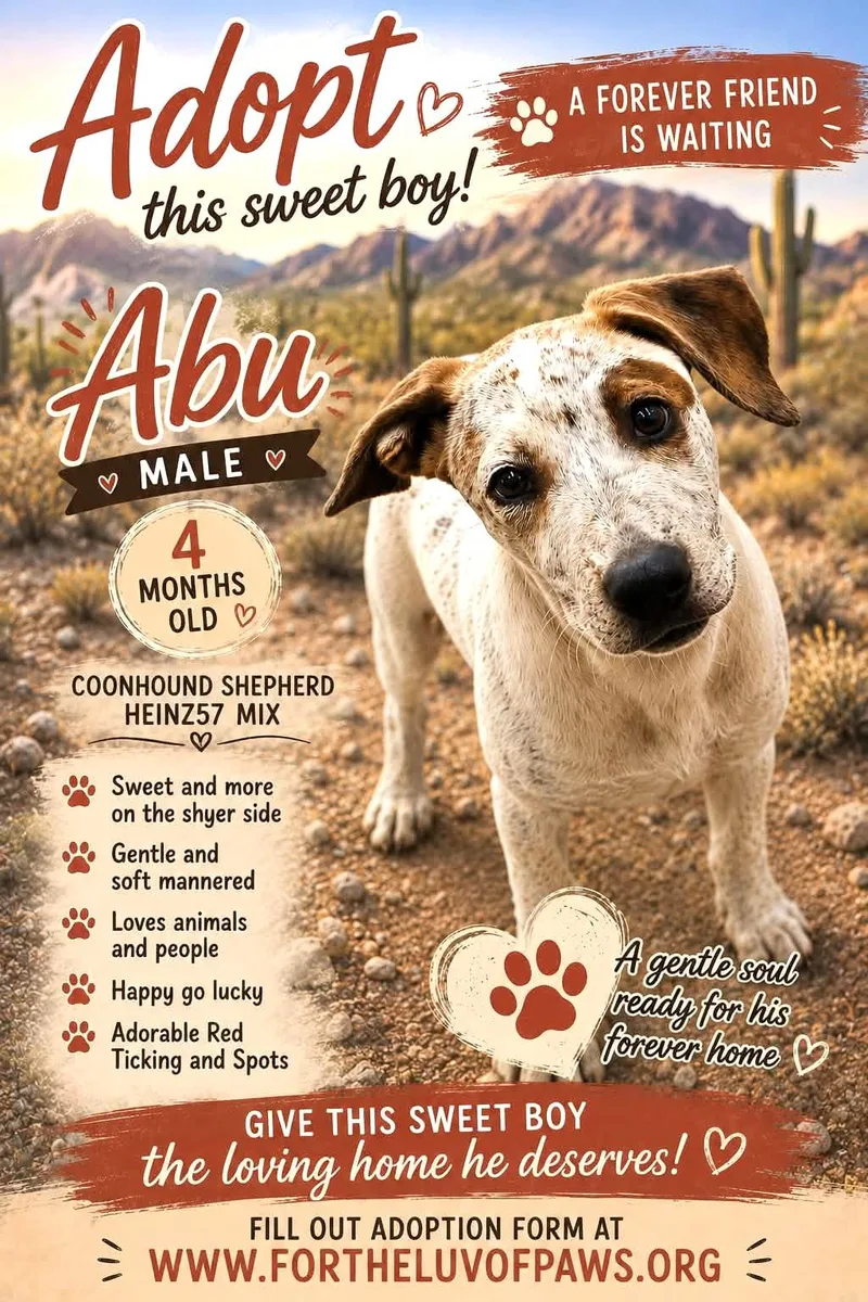 A baby medium-sized male Brown / Chocolate Coonhound dog named Abu for adoption in Golden Valley, AZ