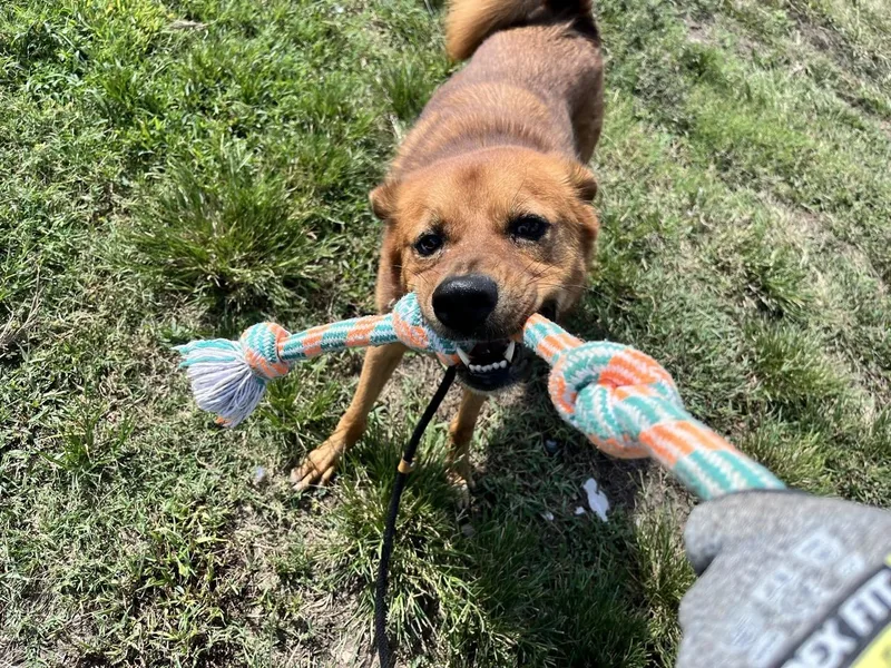 Leonardo thumbnail 2