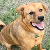 Leonardo thumbnail 3