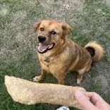 Leonardo thumbnail 5