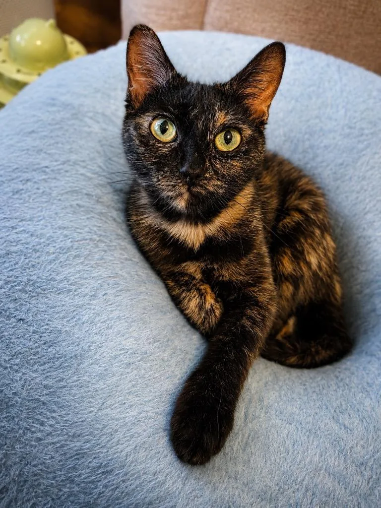 Zoe