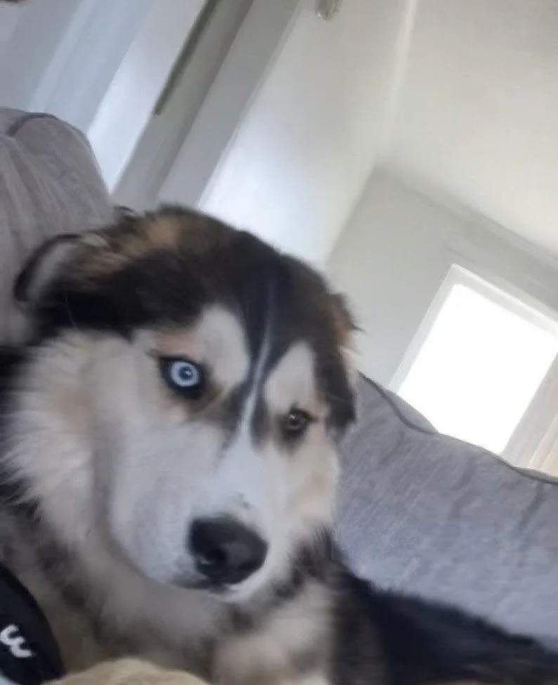 Clyde thumbnail 2
